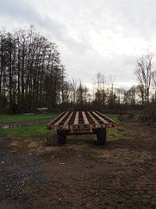 photo de la sculpture Perroquet